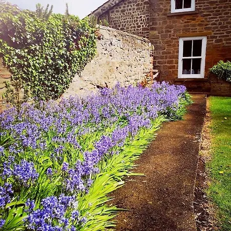 Apartman Grange Farm Ripon
