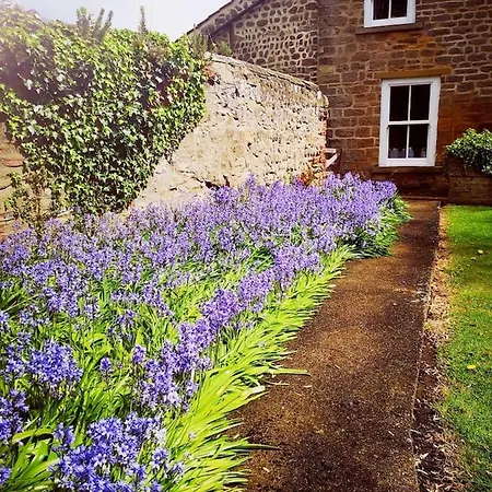 Apartment Grange Farm Ripon